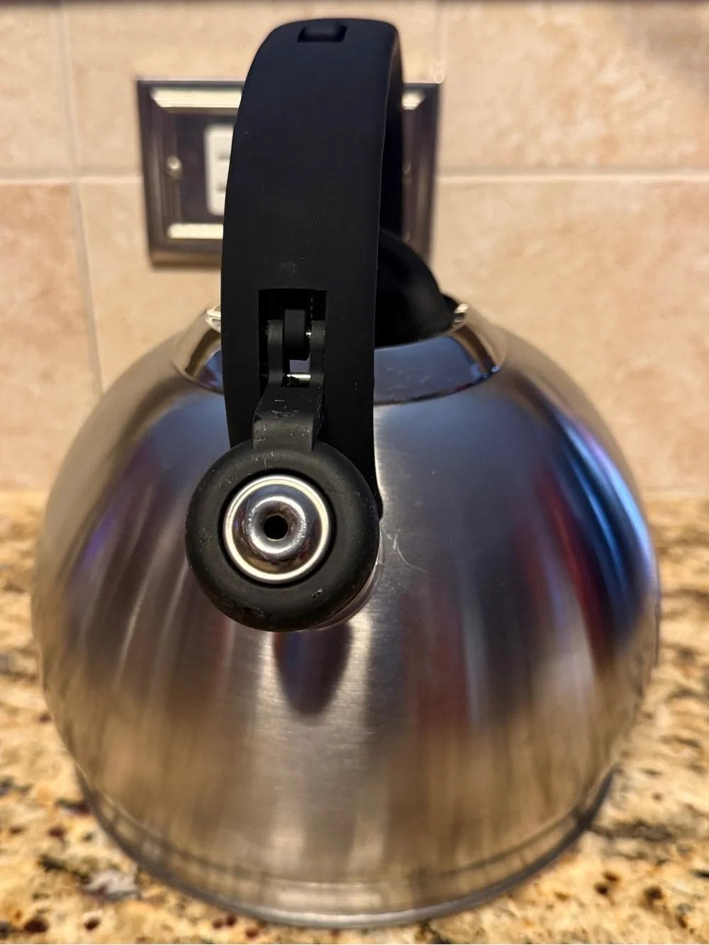 Brandani Italy 3 Qt Stainless Steel Whistling Tea Kettle Induction Stove Top NEW